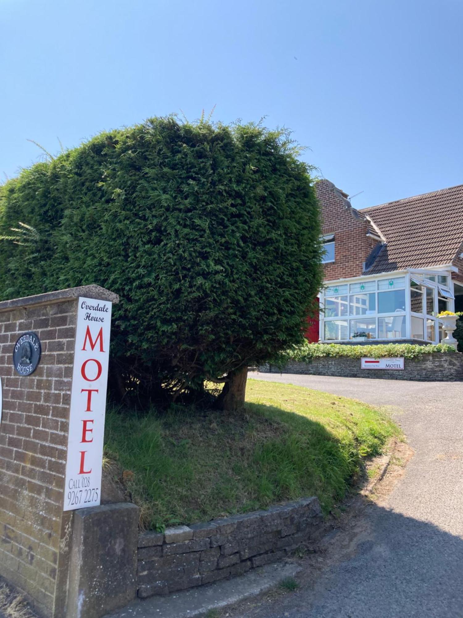 Overdale Motel Lisburn Εξωτερικό φωτογραφία