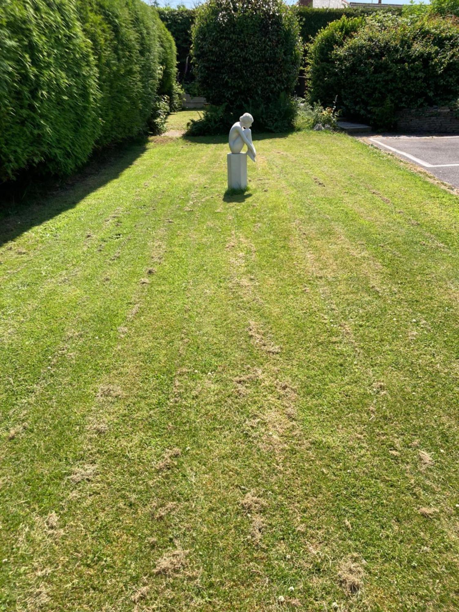 Overdale Motel Lisburn Εξωτερικό φωτογραφία