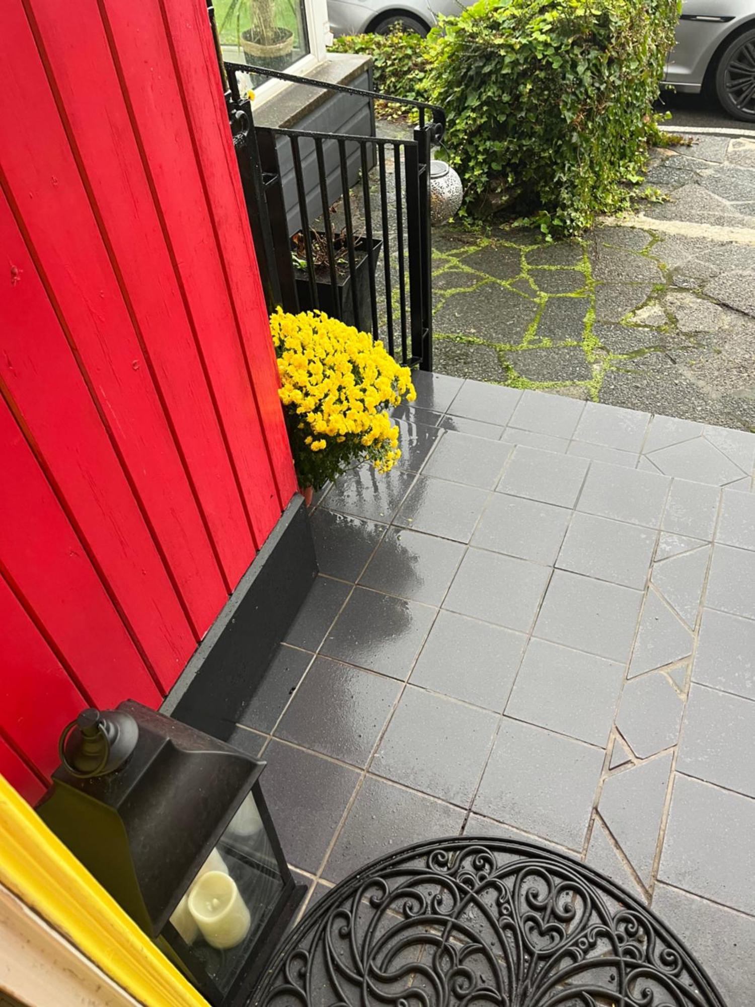 Overdale Motel Lisburn Εξωτερικό φωτογραφία
